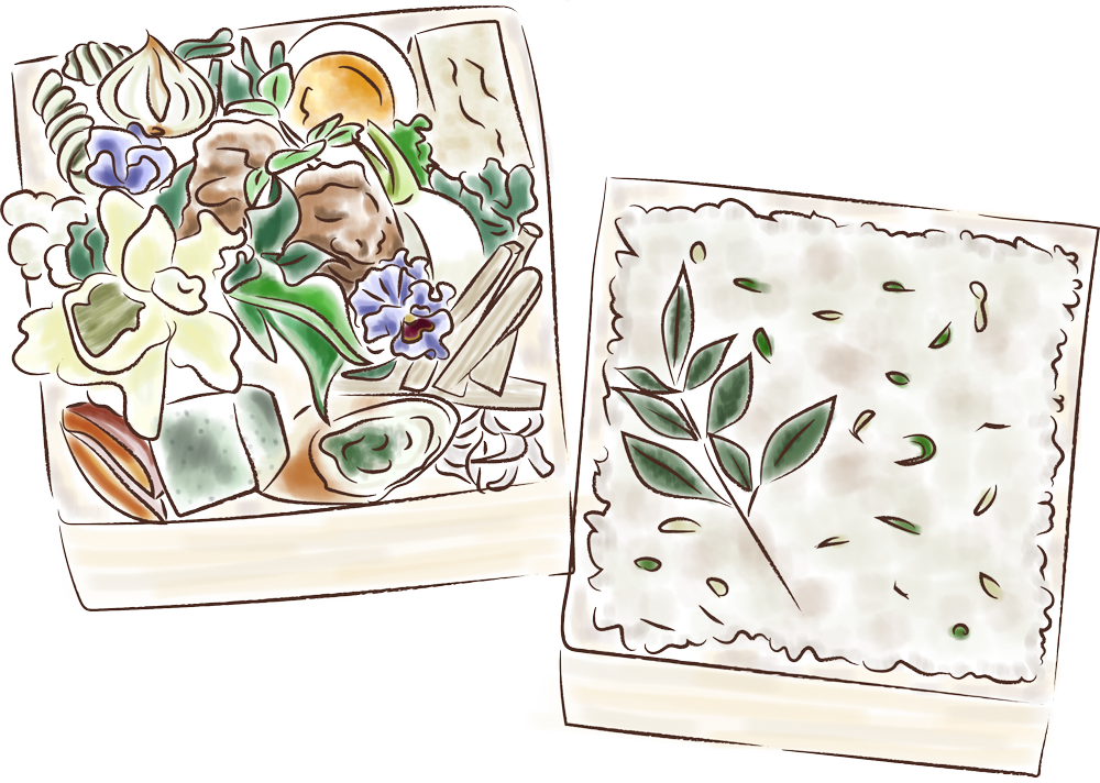 ２段弁当のイラスト